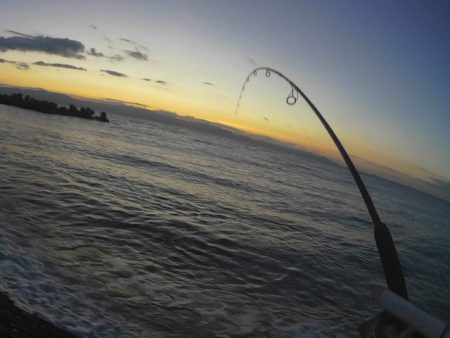 ヒラメが釣れました！